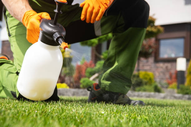 Best Spider Control Near Me  in Redwood Valley, CA