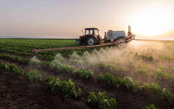 Pest Control Cost in Redwood Valley, CA