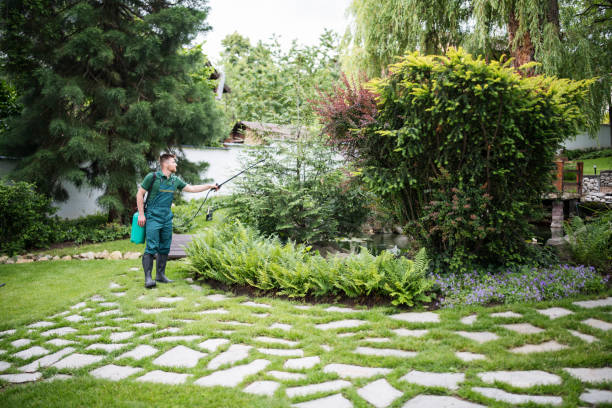 Best Pest Prevention Services  in Redwood Valley, CA